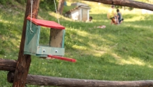Naturando 2019: sono alle porte i campi estivi per bambini